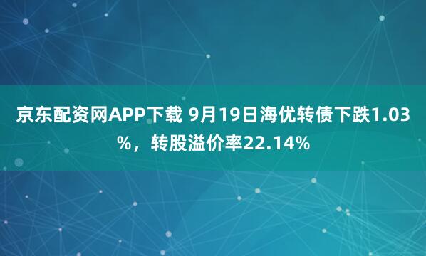 京东配资网APP下载 9月19日海优转债下跌1.03%，转股溢价率22.14%