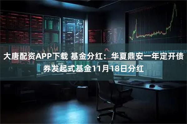 大唐配资APP下载 基金分红：华夏鼎安一年定开债券发起式基金11月18日分红