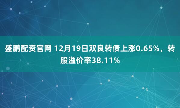 盛鹏配资官网 12月19日双良转债上涨0.65%，转股溢价率38.11%