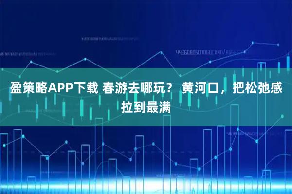 盈策略APP下载 春游去哪玩？ 黄河口，把松弛感拉到最满